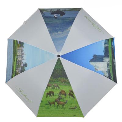 China Custom Printing 2 Folding 2 Folding Umbrellas Windproof Automatic Umbrella for sale