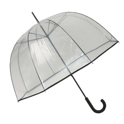 China Craftsman Amazon Hot Selling Transparent Bird Shape Dome Apollo Umbrella for sale