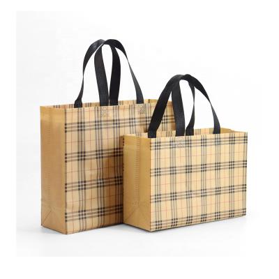 China BIODEGRADABLE custom logo carry bag reusable eco friendly non woven fabric shopping bag for sale