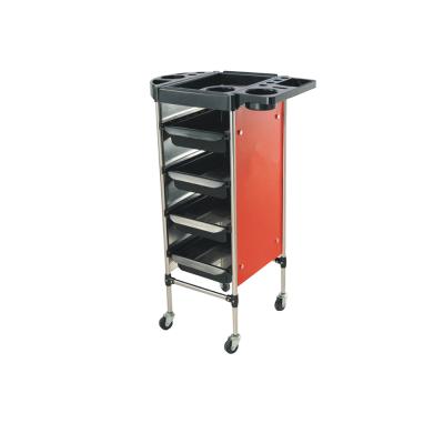 China Shop Convenient Simple Modern Trolley Special Hair Salon Trolley for sale