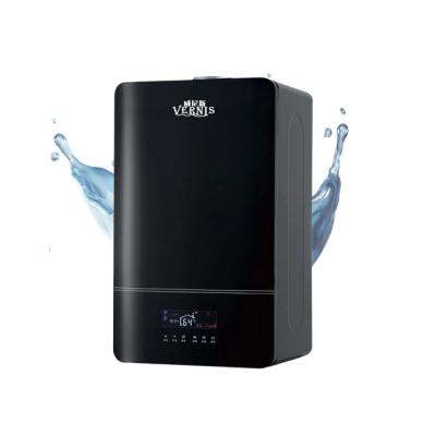 China Low Price Outdoor Instant Effect High Quality Home Appliance Gas Water Heater for sale