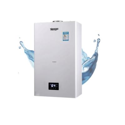 China Outdoor New Arrival Natural Gas Instant Tankless Water Heater For Bathroom Gym for sale