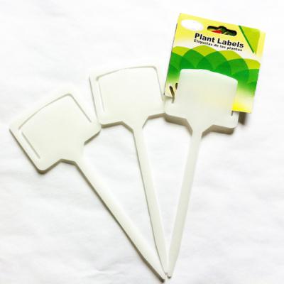 China Garden Labels Plant PP Plastic 7 Inch T Type T Tags 6*4cm for sale