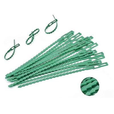 China Easy To Use And Reusable PE Plant Stakes Clips Twist Tie Soft Adjustable Height Plant Garden Cable Ties 12.0cm*0.6cm for sale