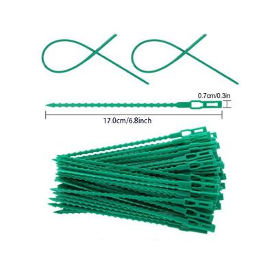 China New Adjustable PE 17.0cm *0.8cm Garden Tree Plant Green Twist Tie For Gardens And Gardening 17.0cm *0.8cm for sale