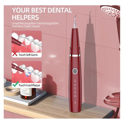 China For Home Use commercial use 2024 New Trendwaterproof Ipx6  Ultrasonic Whitening Toothbrush For Traveling Hotel for sale