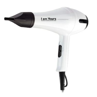 China Foldable Economic Custom Design AC Motor New Design Standing Hair Dryer Home Profesional Hair Dryer for sale