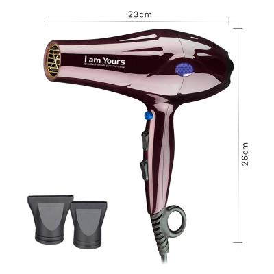 China Other hot sale quality ac motor high speed intelligent professional hair dryer for sale