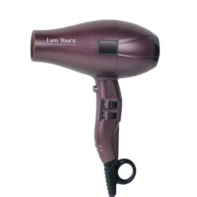 China Selling Foldable Hair Dryer Hair Dryer AC One Stage Foldable Hair Dryer New Type Professional Salon for sale