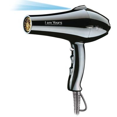 China Hotel Hotsale Professional Hair Dryer OEM Salon Barber Hair Styling Blow Dryer Hair Dryer for sale