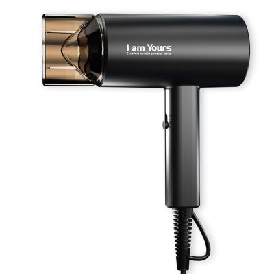 China Hot Selling Compact Portable Hair Dryer DC Compact Motor With Magnetic Concentrator 1800W OEM/ODM for sale