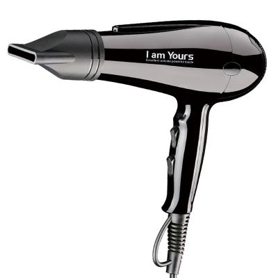 China Other Factory Supply Wholesale Good Quality DC Motor Hair Dryer for sale