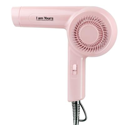 China Other Structure Workmanship High Quality Hair Dryer Household Dc Motor Handle Exquisite Hair Dryer for sale