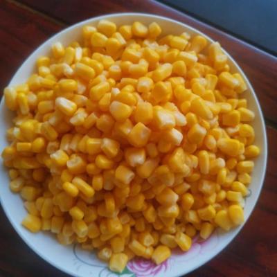 China 2020 New Canned Crop Canned Corn Kernel 425mlx24tins for sale