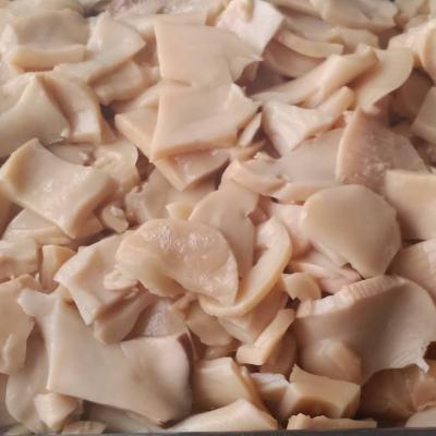 China CANNED MUSHROOM P and S of ROI OYSTER for sale