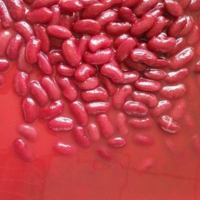 China Canned Kidney Kidney Beans in Tomato Sauce for sale