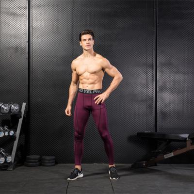 China Custom Logo Men's OEM Breathable Breathable Men's Stripe Casual Joggers Stretching Joggers Panty Compression Fitness Gym Leggings For Men for sale