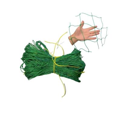 China Green New Green Suitable Plastic Garden Guaranteed Price Quality Price Rattan Plant Support And Net Climbing Net for sale