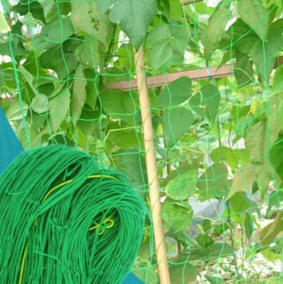 China HDPE +UV Stabilized Plant Trellis Netting Garden Netting For Growing Plants, Vineyard And Veggie for sale