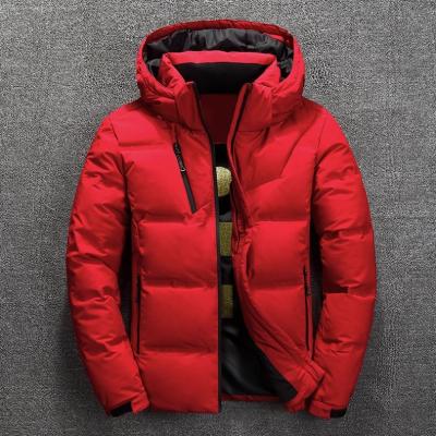 China Sustainable Fashion Winter Coat Wear Eco - Friendly Man Jacket Warm Short Down Jacket 2019 for sale