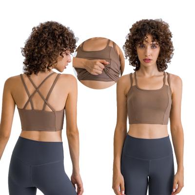 China Breathable Hot Yoga Athleisure Meridia Ectiva Live Fit Sportswear Gym Custom Logo Sports Bra Top Selling for sale