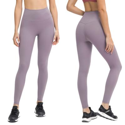 China AMAZING Fashion Active Wear Breathable Plus Size Womens Gym Leggings for sale