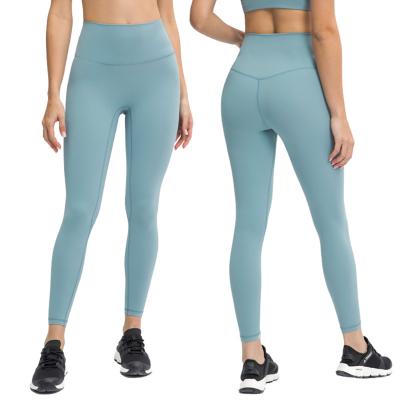 China AMAZING Fashion Active Wear Breathable Plus Size Womens Gym Leggings for sale