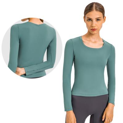 China Hot Women's Tiktok Yoga Activewear Breathable Sexy Tight Shirt Solid Long Sleeve Plus Size Casual Seamless Sports Top Fitness Wear for sale