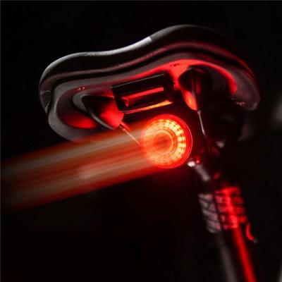 China Smart Bike Brake Light Bicycle Brake Taillight Induction LED High Visibility USB Charging Bicycle Waterproof Night Safety Taillight Riding Lamp for sale