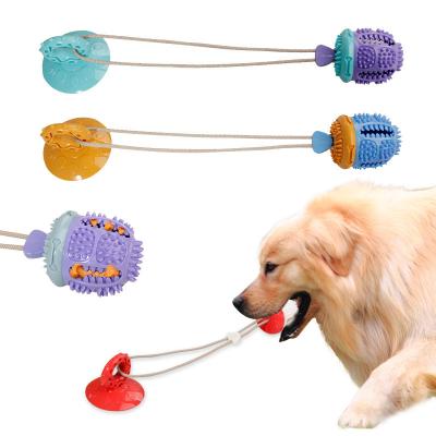 China Viable Toy Pull Pet Dog Amuse Bear Bite Bite Tooth Relief Dog Supplies Suction Cup Pull Rope Ball Dog Bite for sale