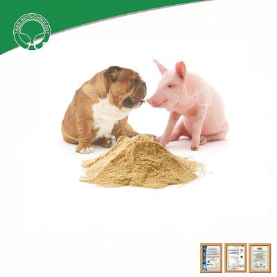 China Spray Dried Chicken Plasma Powder for sale