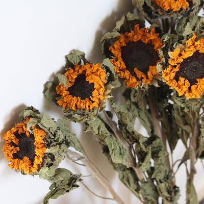 China 100% Natural Organic Plant Wholesale Wedding Party Home Decoration Pressed Sunflower Dried Flower Arrangement Real Natural Sunflower Dried Flowers for sale