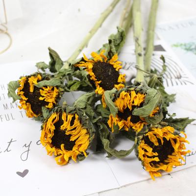 China 100% Real Flowers DIY Flower Decorative Dried Sunflowers Home Layout Popular High Quality Wholesale Natural Organic Decor Natural Dry for sale