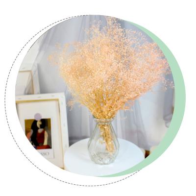 China Environmental Protection Green Wholesale Dried Star Mini Gypsophila Babys Breath Flower Sweet Color Preserved Dreame for sale