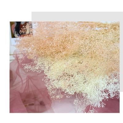 China Hot Selling Young Beautiful Eternal Preserved Flowers Million Star Gypsophila Flower Babies Breath Forever for sale