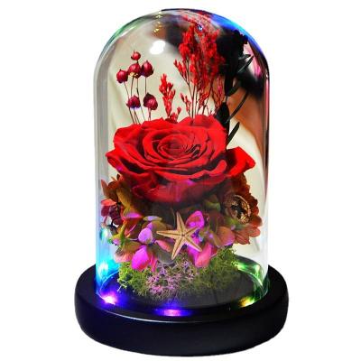 China Simplicity Glass Cover Ornaments Rose Dried Creative Immortal Flower Handmade Gift Preserved Flowers for sale