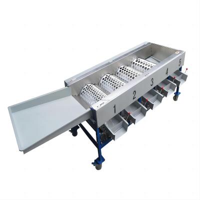 China Fruit Processing Plant Fruit Grading Machine Sizer Machine Vegetable Fruits and Vegetables Sorting Grading Machine for sale