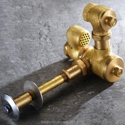 China Traditional Malaysia Concealed Toilet Flush Valve Push Button Flush Valve Brass Full Inlet DN25 for sale