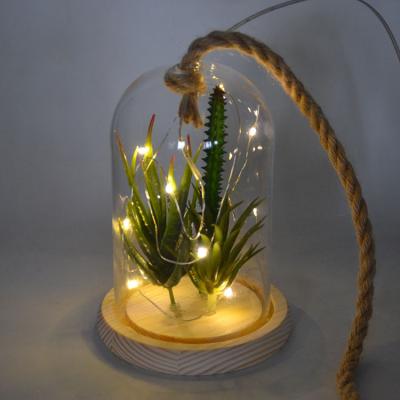 China Europe hemp rope hanging LED clear glass dome with wooden base and vegetation for Christmas decoration for sale