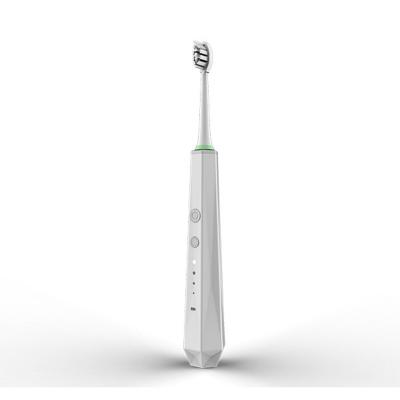 China Teeth Cleaning Modern Popular Electric Toothbrush Battery Waterproof Comfortable Adult Usb Rotating Electric Toothbrush for sale