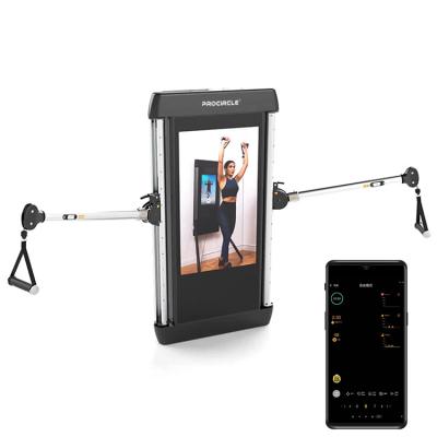 China Wall Mounted Smart Steel+Plastic+Rubber Home Gym Mirror Fitness Training Machine With APP Workout For Home for sale