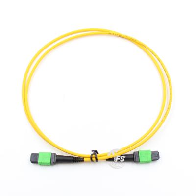 China Other Wasp 9/125um LSZH Singlemode Type B Fiber Optic Links MPO Female 24 Fiber Optic Connector Fiber Optic Cable for sale