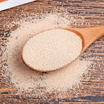 China Dry Instant Yeast Powder Bakery Light Brown Natural QS ISO KOSHER Certification for sale