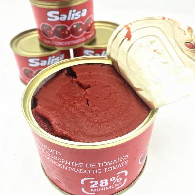 China Sweet Bulk Drum Tomato Puree Tin TPT-800 Solid Delicious Dry Paste Fresh à venda