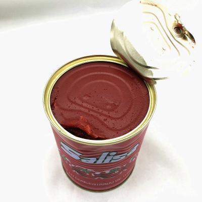 China Halal Easy Open Tomato Puree Tin 22-24% 28-30% Brix Dry Paste Sour Salty Sweet for sale