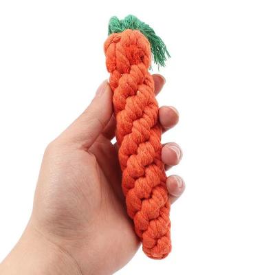 China Durable Hot Selling Non-Toxic Interactive Food Toys Carrot Teeth Rope Sustainable Cotton Rope Animal Dog Chew Toys Pet Supply for sale