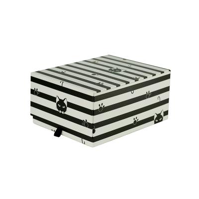 China Portable Storage Box Storage Box Cards Viable Storage Box for sale