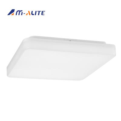 China Surface Mounted Modern Hallway Fixtures 24W Best Led Lights For Kitchen Ceiling for sale