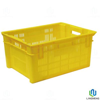 China Farm Lightweight Plastic Crates Manufacturing for Baby Chick for sale