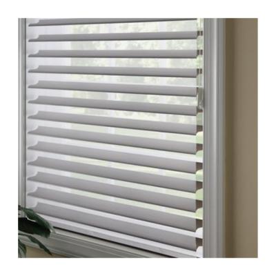 China Shangri-La Minimalist Hot Sale Customized Window Blinds Cordless Zebra Roller Blind Motor For Window for sale